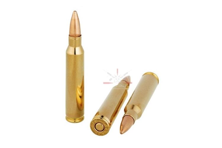 Střelivo 223 rem, 55gr, FMJ, 1000 ks za akční cenu - Prodejna zbraní a střeliva Olomouc - Dolany